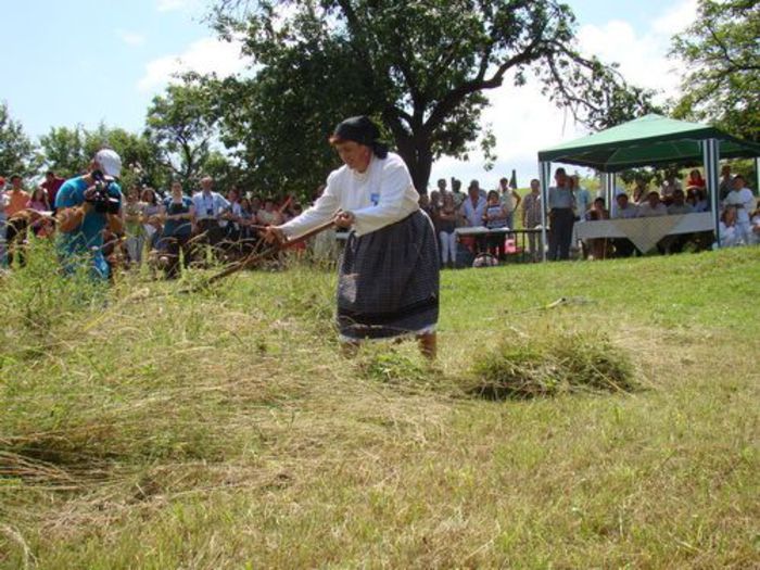 23.Sarbatoarea placintelor si a cositului-Mesteacan; sarbatoare e la sfirsitul lui August.dupa cosit,femeile fac si capita de fin.Mesteacanul face parte din comuna Valea Chioarului
