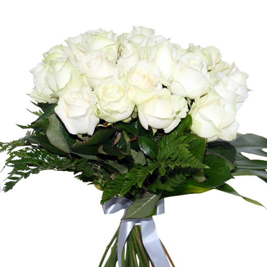 buchet-de-27-trandafiri-albi-2165557 - 18683 de vizite