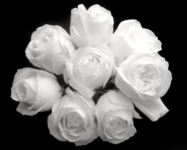 white-rose-bouquet-116-1280x1024 - 18683 de vizite
