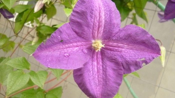 065