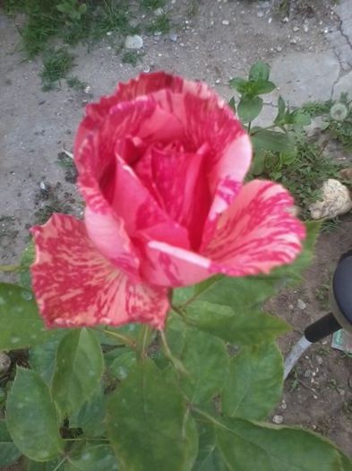 20140613_174719