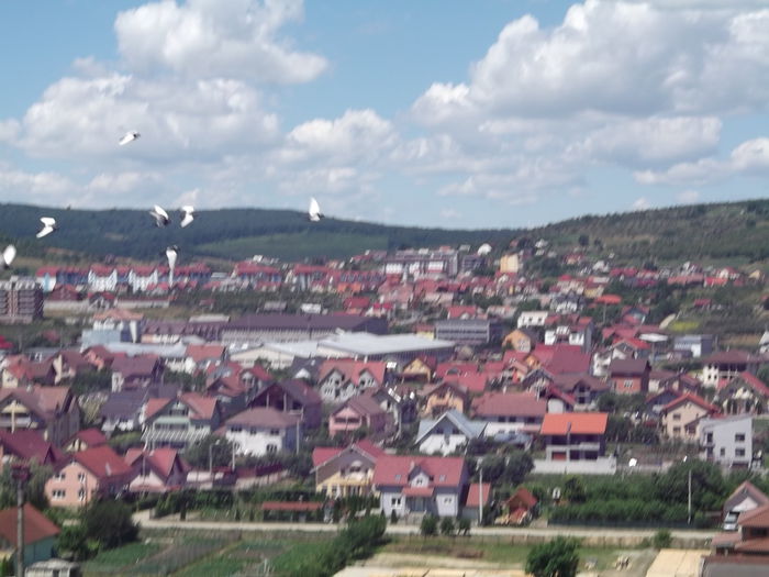 ..........ESALONUL DOI ....