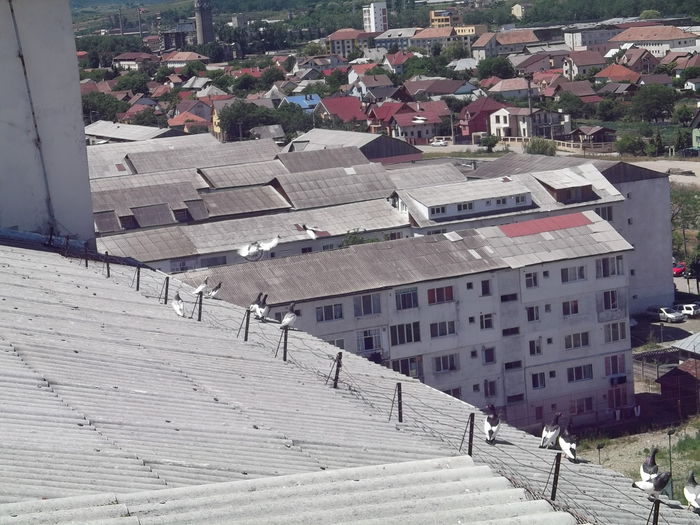 ASTEPTAND REZULTATELE BILANTULUI