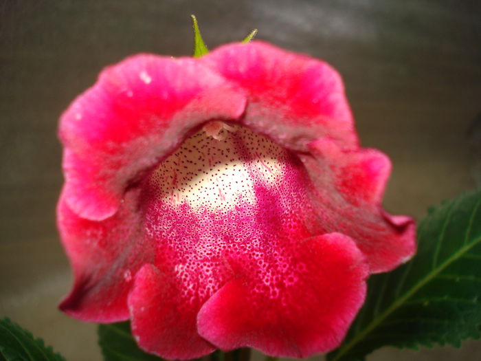 DSC09486