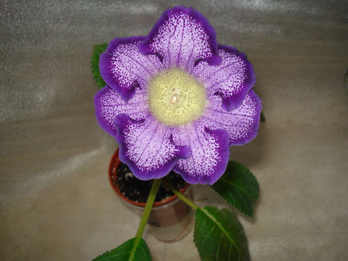 DSC09487