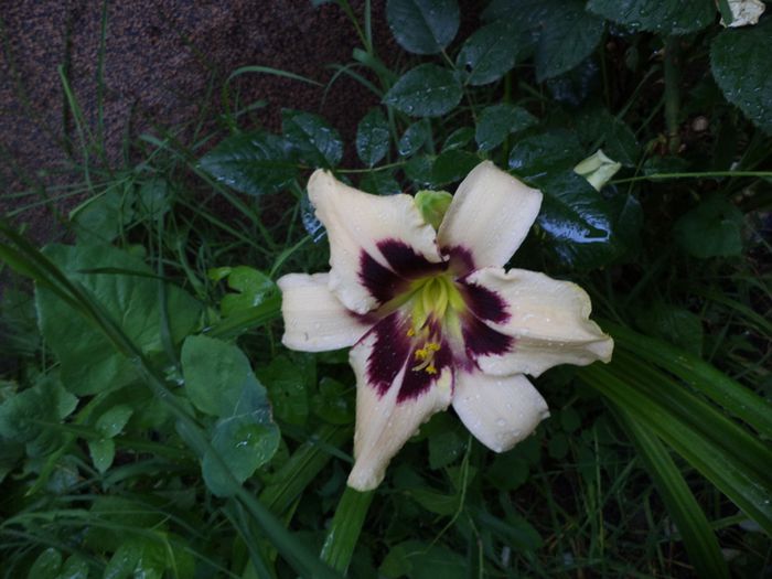 iunie 2014.12 061 - iunie 2014