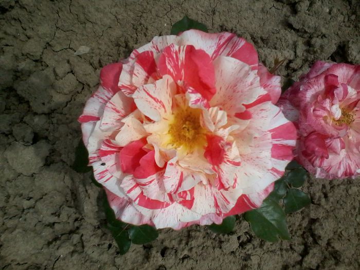 2014-06-08 13.53.46