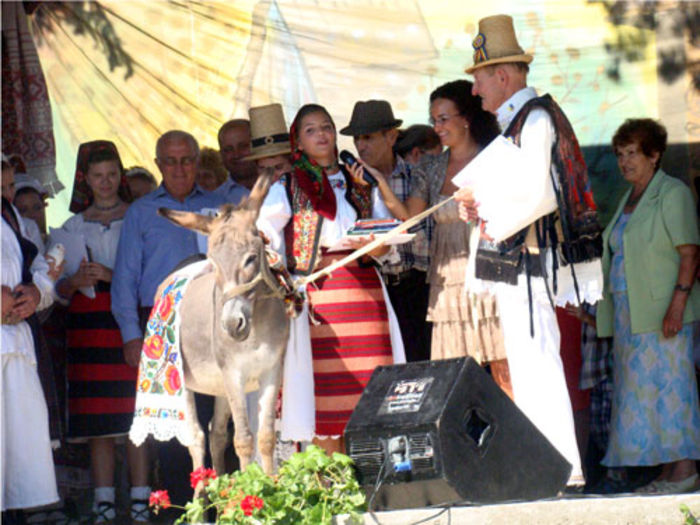 28.Alina-te dor,alina!-Cicarlau; in poza:N.Sabau,inminind premiul cistigatoarei.In fiecare an locul 1 primeste pe magarusul Alin,celelalte locuri si premiile speciale,fiind recompensate cu pasari si diverse oratanii de ograda

