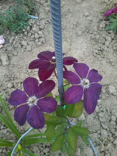 2014-06-06 15.41.46