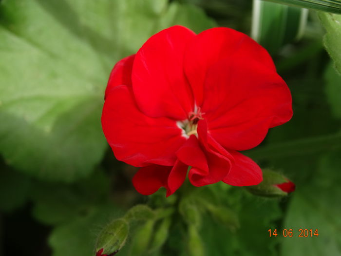 DSC04904