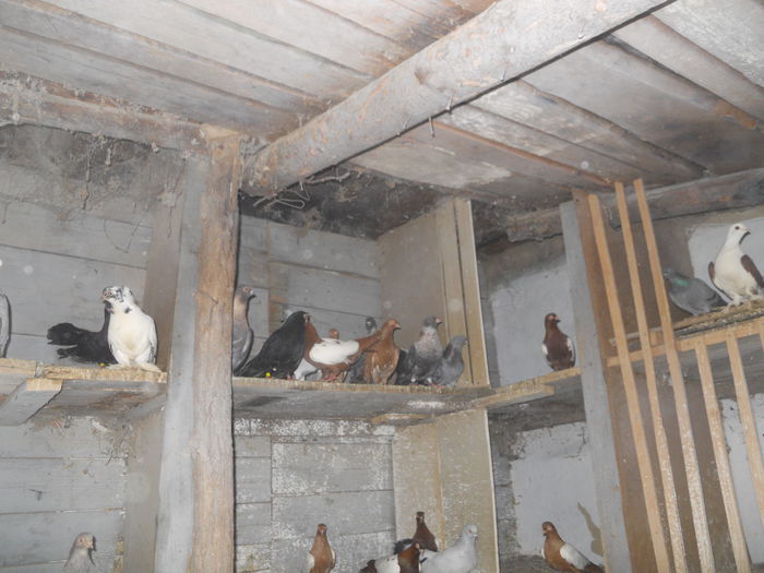 DSCN0105 - 1825 Sorin Constantinescu