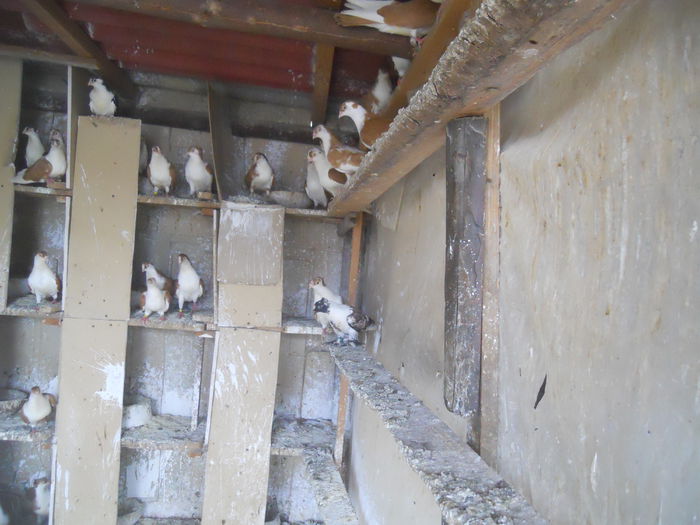 DSCN0109 - 1825 Sorin Constantinescu