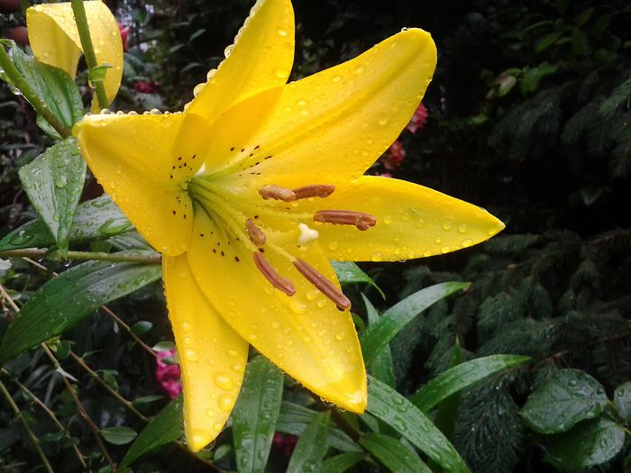 20140616_090303