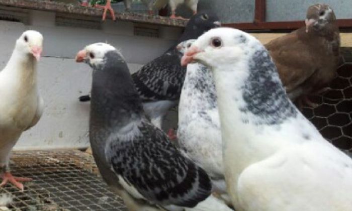 Screenshot_2014-06-16-15-03-34