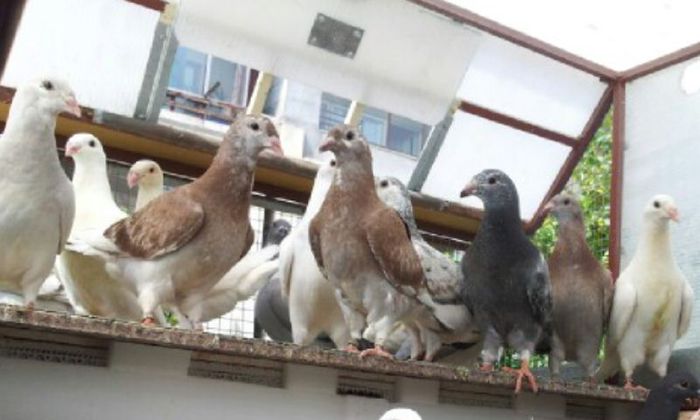 Screenshot_2014-06-16-15-03-49