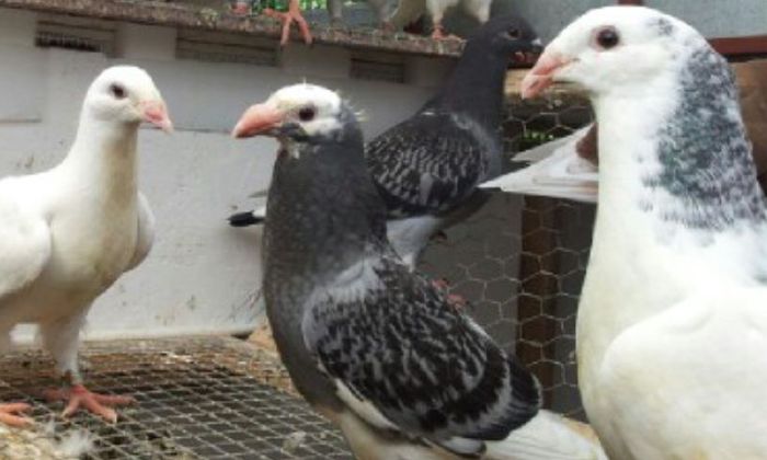 Screenshot_2014-06-16-15-04-04