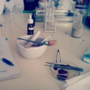 Materia mea preferata este biologia.