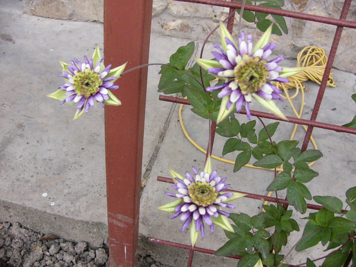 P1220486