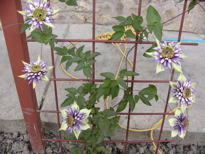P1220487