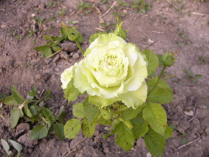 P1220496
