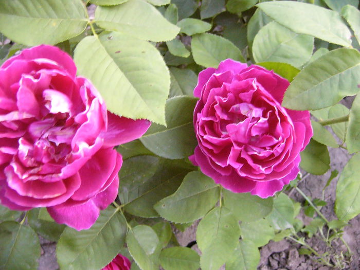 P1220499