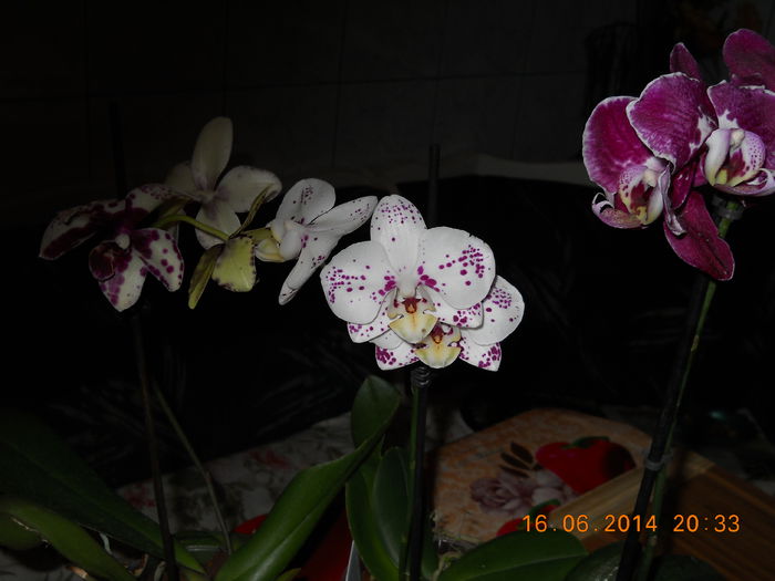 009 - ACHIZITII 2014