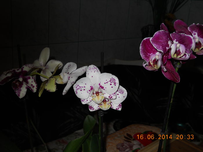 010 - ACHIZITII 2014