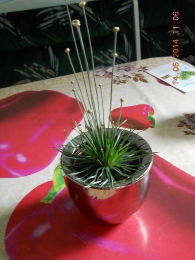 018 - ACHIZITII 2014