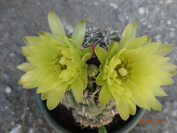 DSC05026