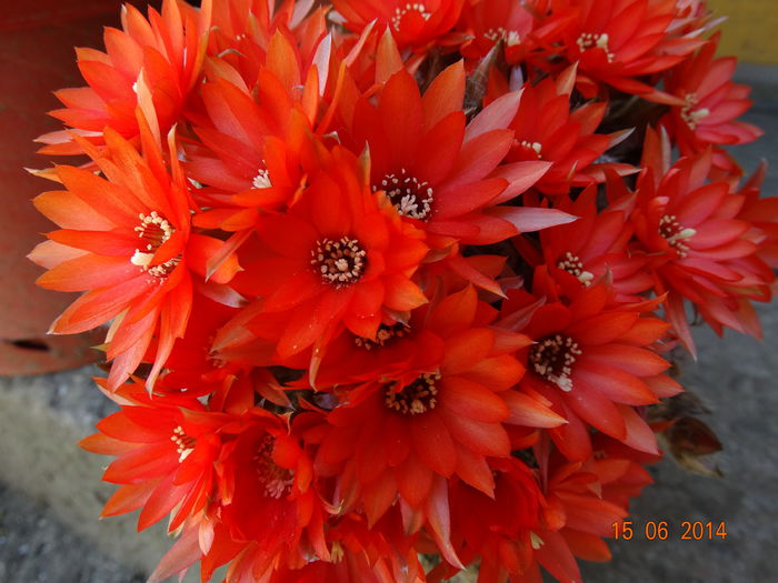 DSC05020