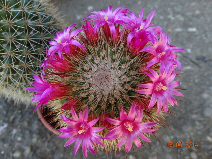 DSC05023