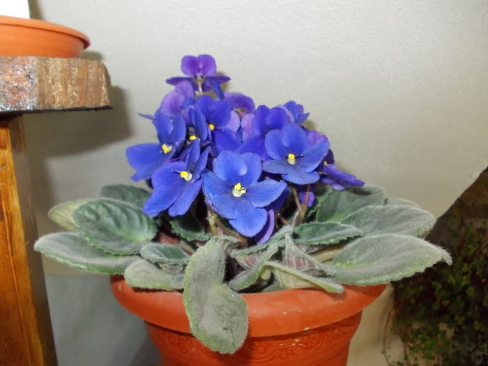 DSCN0825
