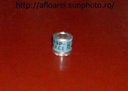 ESP 02 - INELE DE SCHIMB