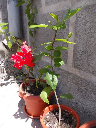 DSCN0840