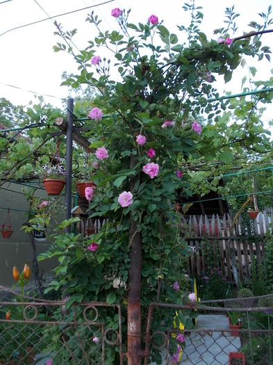 DSCN0847