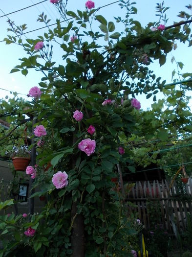DSCN0848