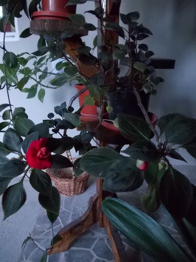 DSCN0849