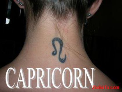 ElenaGheorghe - capricorn - Tu spui zodia eu pun poza --- joculet