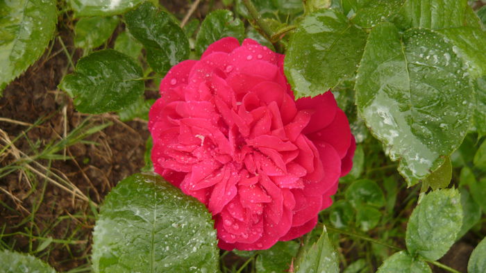 037