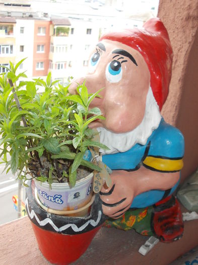 16 iunie 2014-flori 065