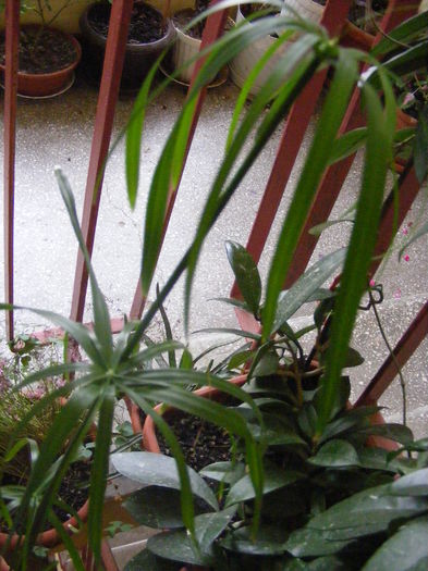 DSCF0647