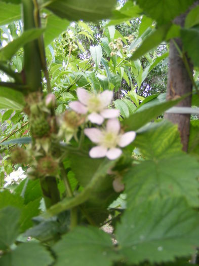 DSCF0583