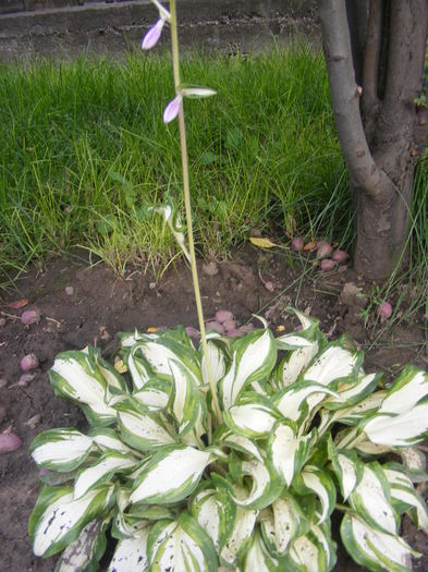 DSCF0608