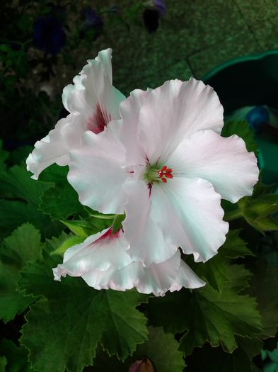 20140617_105034