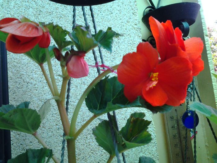 20140617_105004