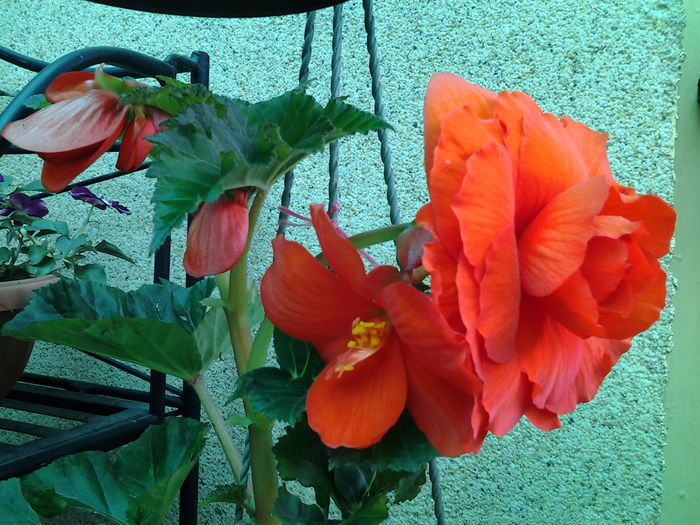 20140617_104804