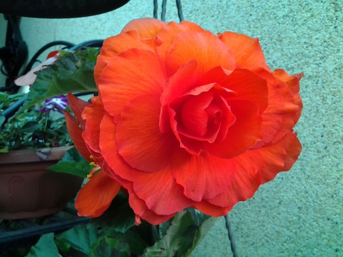 20140617_104809