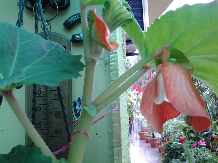 20140617_104816