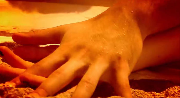 bandicam 2014-06-17 14-01-24-274