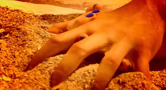 bandicam 2014-06-17 14-01-25-193